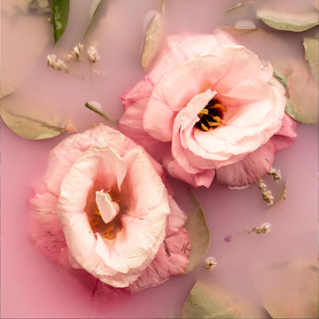 FX ‑ 153 Rose Reverie Set flexible marble panel showcasing two pale‑pink lisianthus blossoms floating in milky, rose‑tinted water, accented by muted eucalyptus leaves and delicate baby’s‑breath sprigs, by Dunya Home Design.