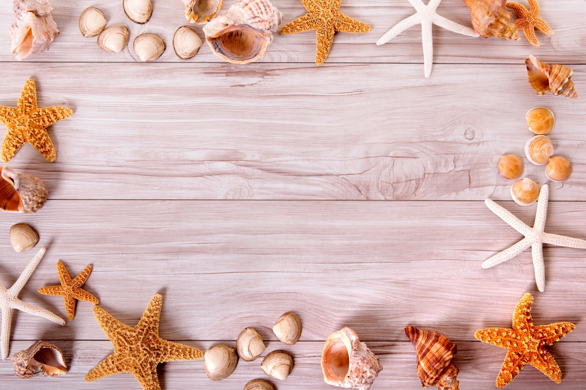 FX2 Flexible Marble panel with beach-themed shells and driftwood grain – Dunya Home Design