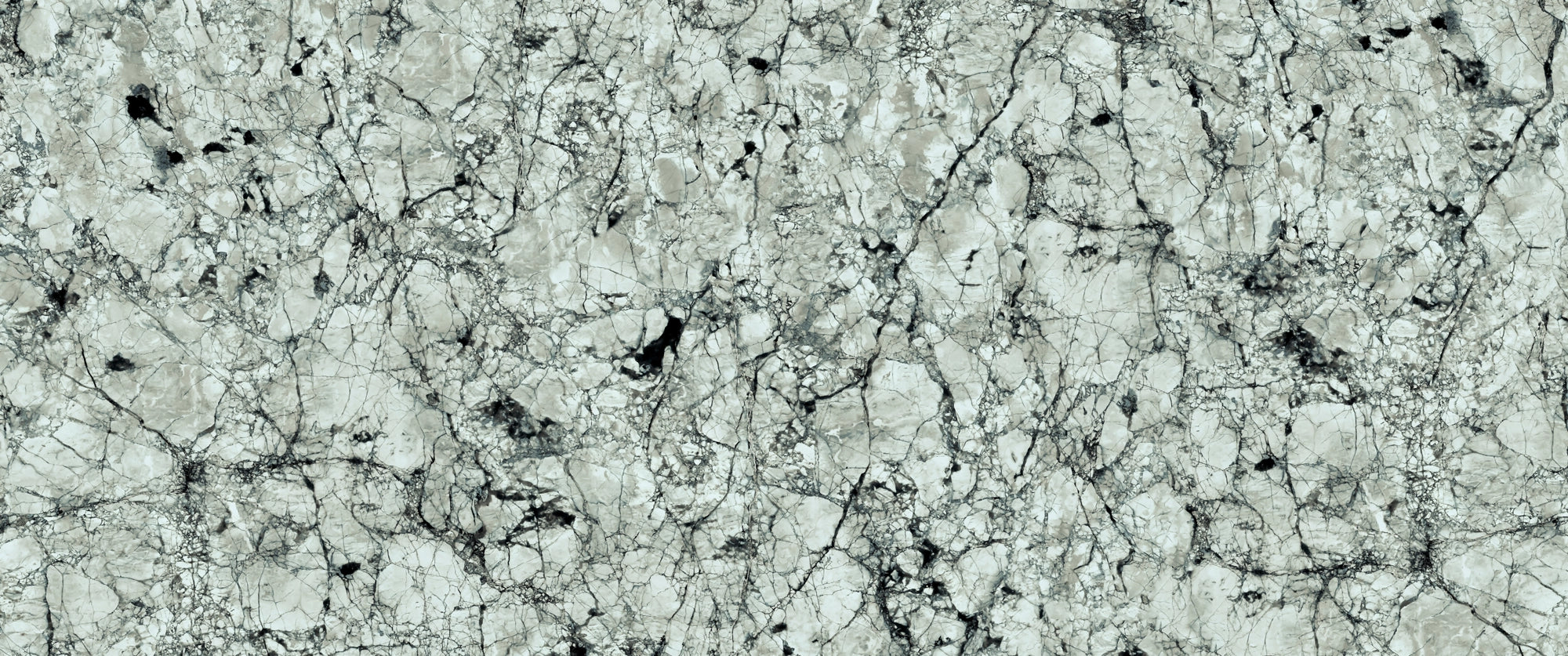 FX32 Borticello flexible marble panel featuring intricate black and grey veining over a light grey stone surface.