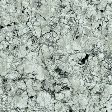 FX32 Borticello flexible marble panel featuring intricate black and grey veining over a light grey stone surface.