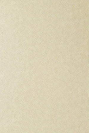 SPC Wall Panel 60838 - Linen Sand