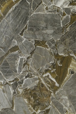SPC Wall Panel 60861 - Terra Fossil