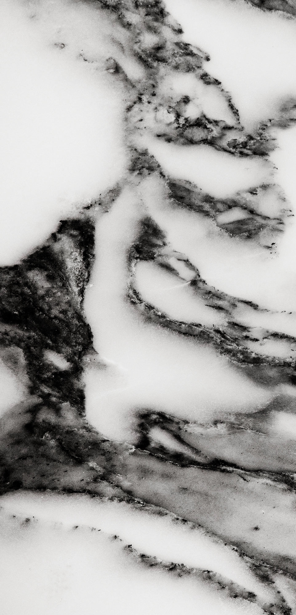 FX ‑ 158 Black Veined White Marble flexible marble panel showcasing a pristine white background crisscrossed with bold charcoal‑gray veining reminiscent of fine ink strokes, by Dunya Home Design.