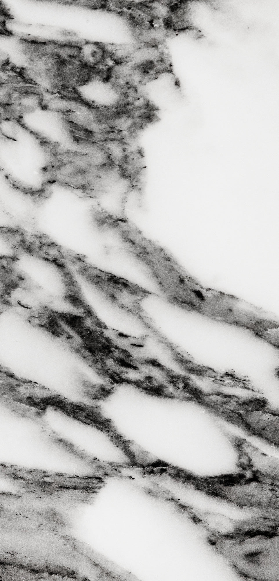 FX ‑ 158 Black Veined White Marble flexible marble panel showcasing a pristine white background crisscrossed with bold charcoal‑gray veining reminiscent of fine ink strokes, by Dunya Home Design.