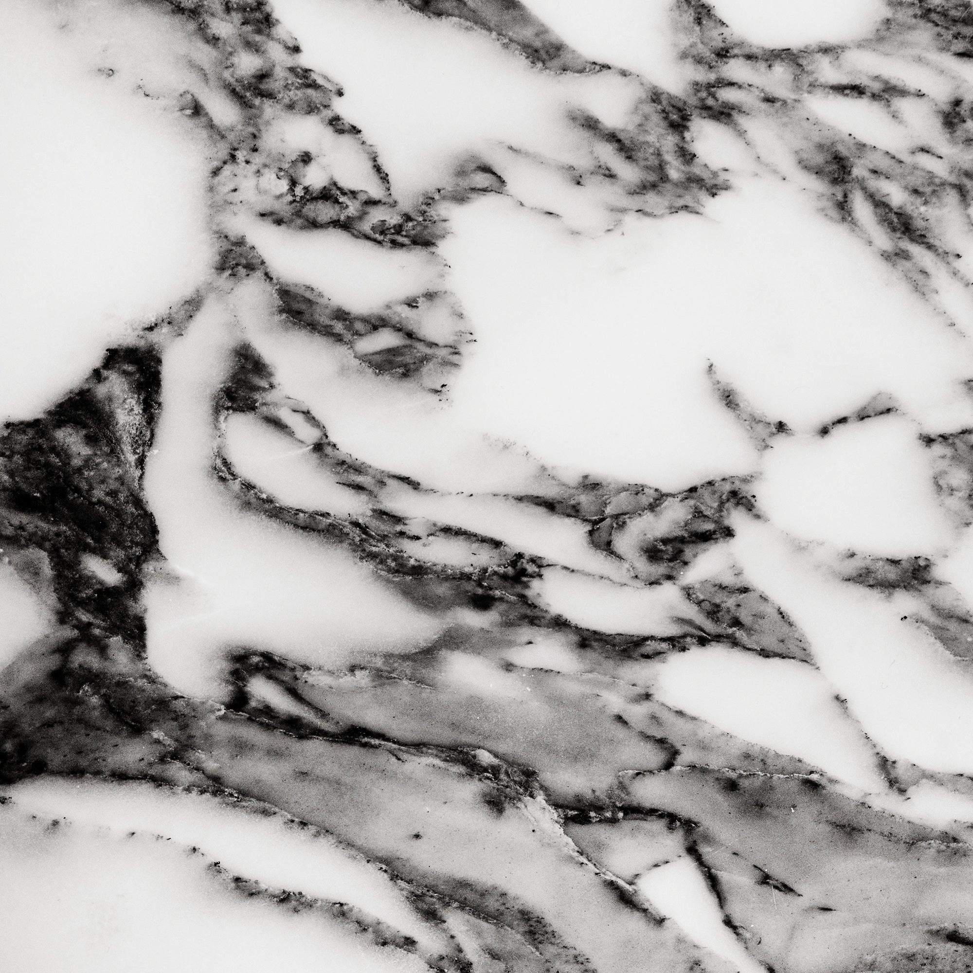 FX ‑ 158 Black Veined White Marble flexible marble panel showcasing a pristine white background crisscrossed with bold charcoal‑gray veining reminiscent of fine ink strokes, by Dunya Home Design.
