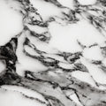 FX ‑ 158 Black Veined White Marble flexible marble panel showcasing a pristine white background crisscrossed with bold charcoal‑gray veining reminiscent of fine ink strokes, by Dunya Home Design.