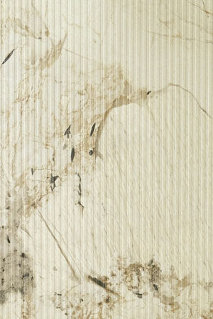 SPC Wall Panel L60872 - Golden Drift