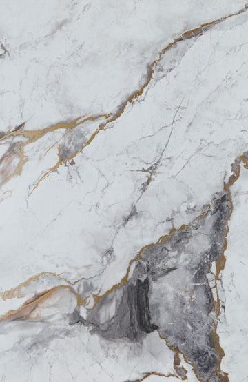 SPC Wall Panel 60927B - Calacatta Imperiale B