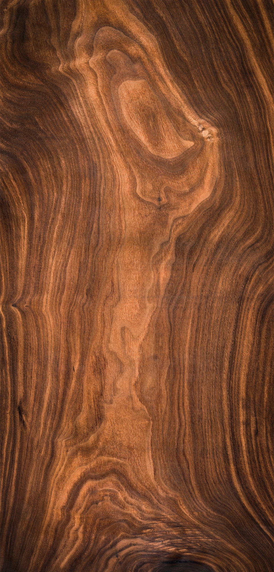 FX‑044 Wood Grain flexible marble panel featuring realistic walnut‑tone wood grain printing with natural knots and growth rings on a bendable marble surface, by Dunya Home Design.