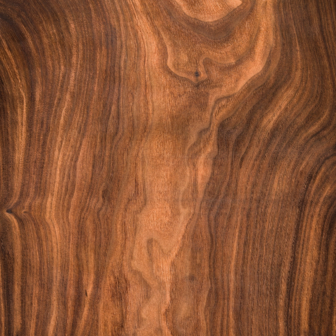 FX‑044 Wood Grain flexible marble panel featuring realistic walnut‑tone wood grain printing with natural knots and growth rings on a bendable marble surface, by Dunya Home Design.