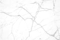 FX‑116 Calacatta Venato flexible marble panel showcasing a luminous white base with delicate silver‑gray linear veining creating an elegant marble network, by Dunya Home Design.