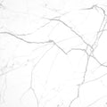 FX‑116 Calacatta Venato flexible marble panel showcasing a luminous white base with delicate silver‑gray linear veining creating an elegant marble network, by Dunya Home Design.