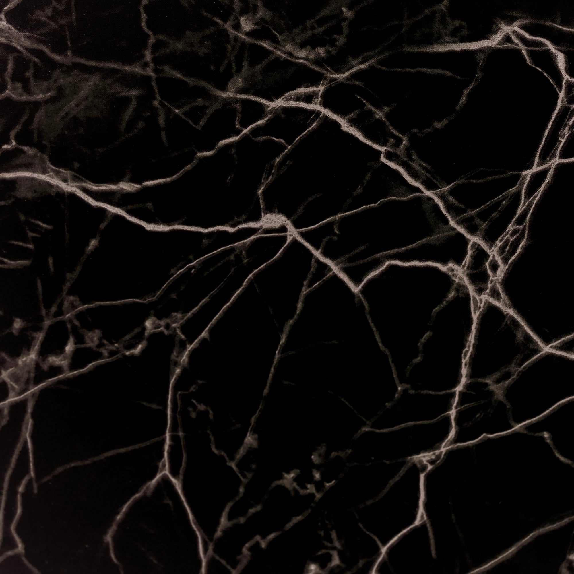 Flexible Marble FX-119 Nero Marquina Supreme