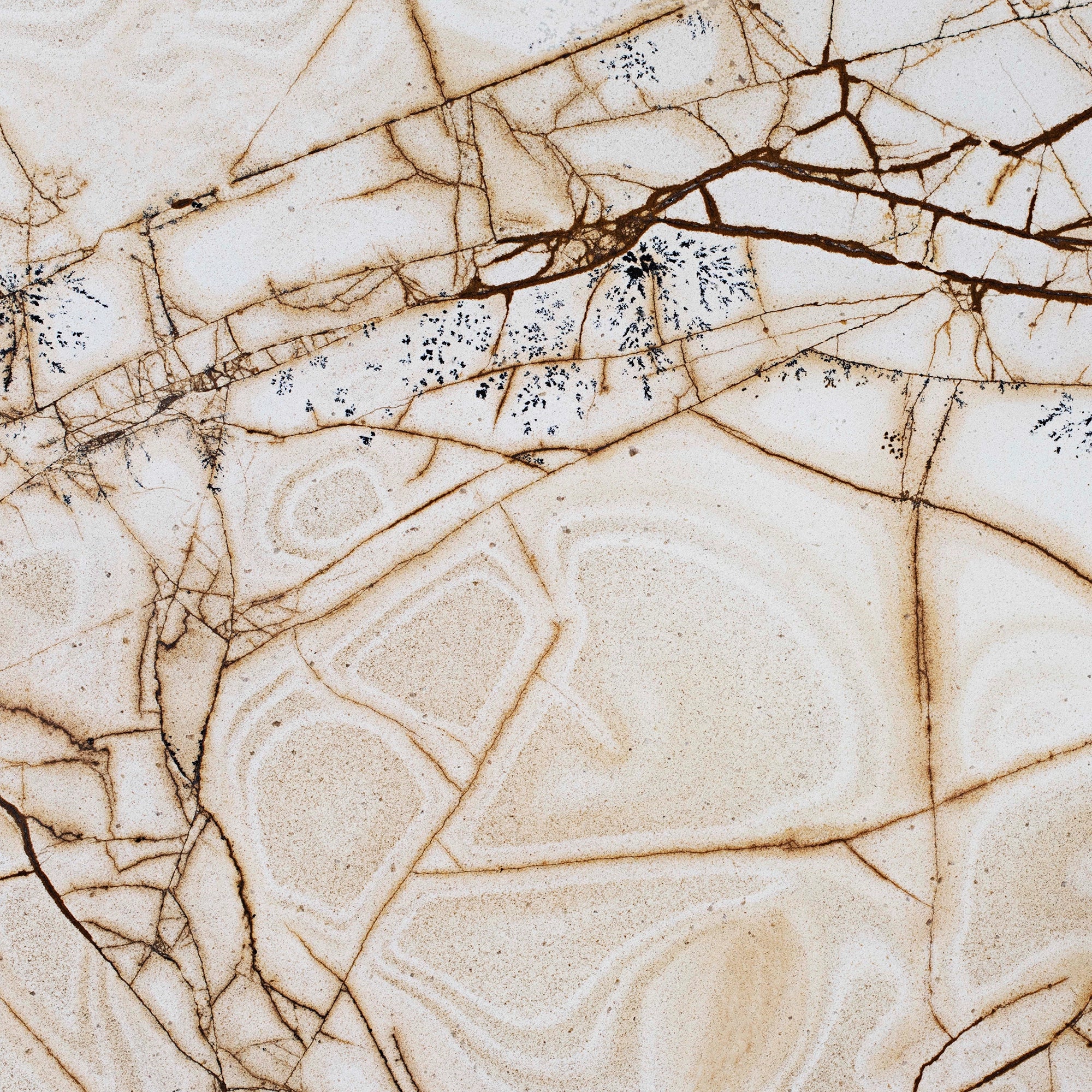 Flexible Marble FX-120 Sahara Fossil