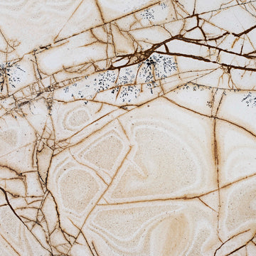 Flexible Marble FX-120 Sahara Fossil