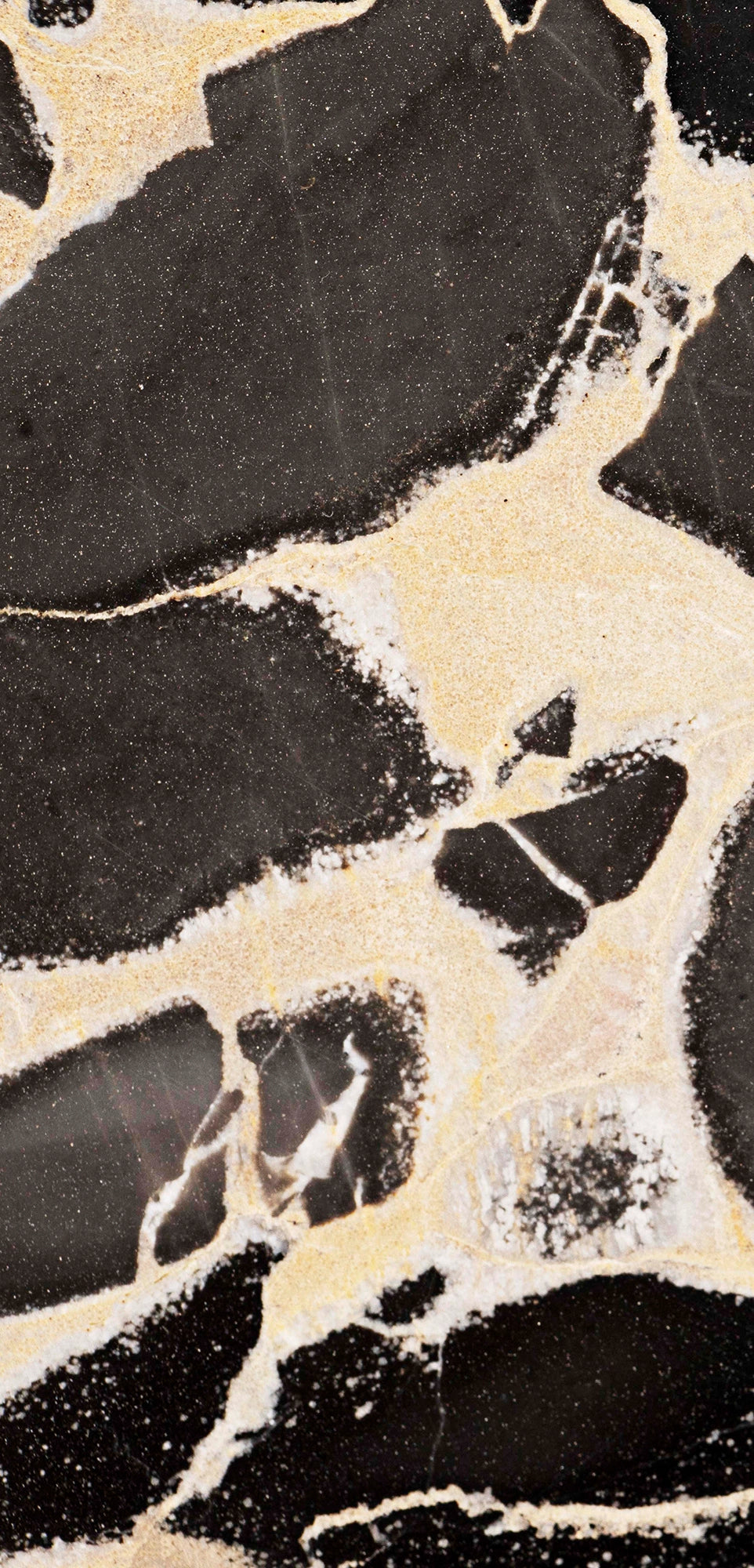 FX‑127 Midnight Pebble Marble flexible marble panel showcasing large irregular midnight-black pebble shapes embedded in a soft cream matrix with fine textural details, by Dunya Home Design.