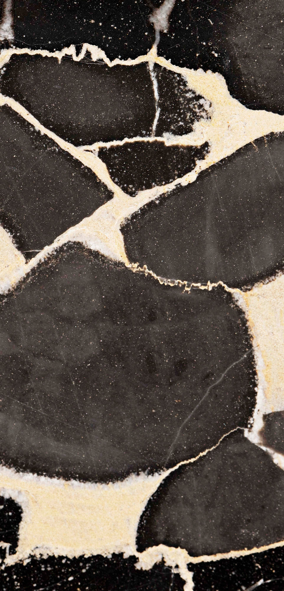 FX‑127 Midnight Pebble Marble flexible marble panel showcasing large irregular midnight-black pebble shapes embedded in a soft cream matrix with fine textural details, by Dunya Home Design.