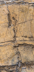 FX‑128 Ochre Strata Marble flexible marble panel showcasing layered ochre and earthy taupe sedimentary strata patterns with realistic fissures and rustic texture accents, by Dunya Home Design.
