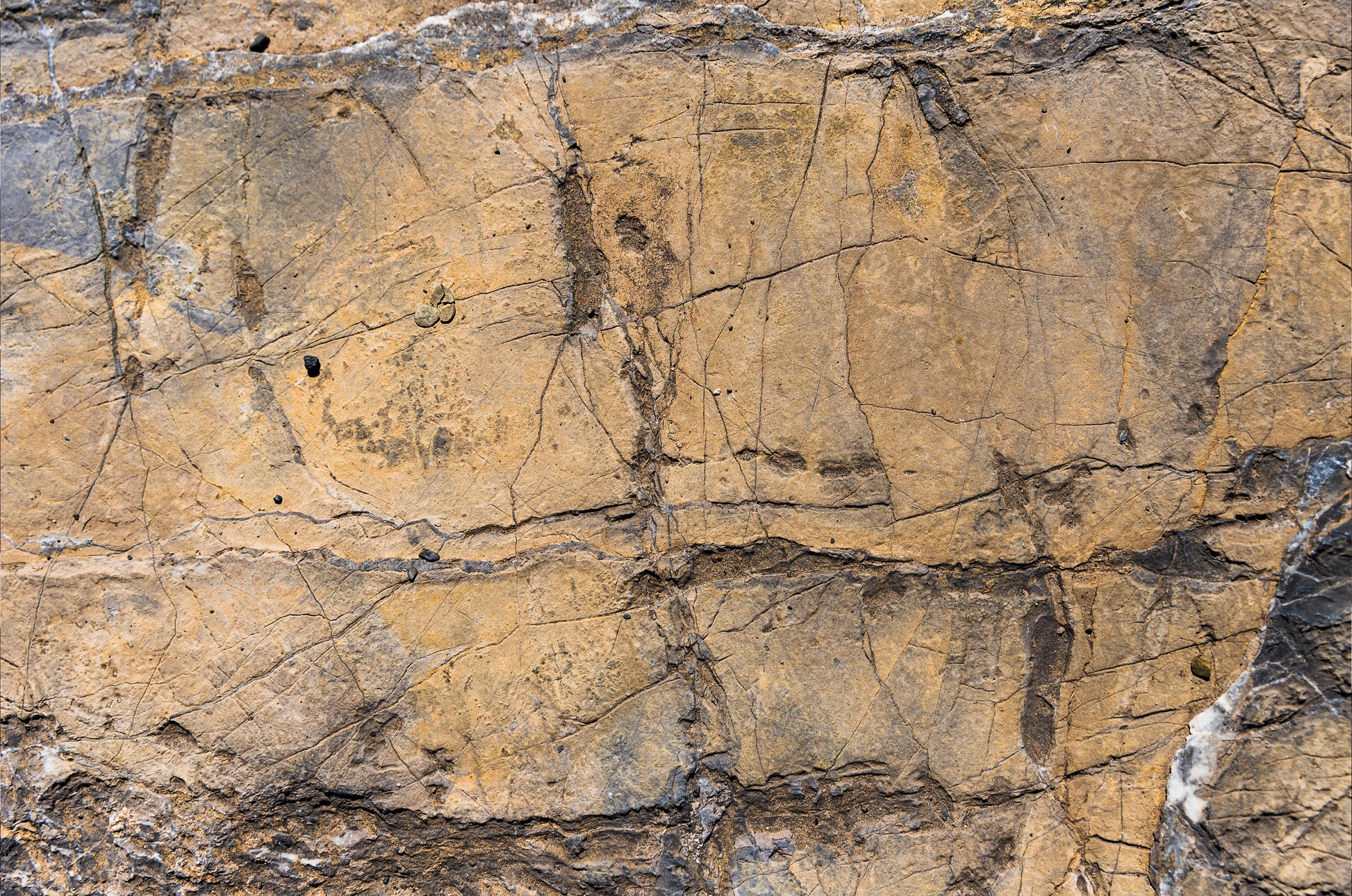 FX‑128 Ochre Strata Marble flexible marble panel showcasing layered ochre and earthy taupe sedimentary strata patterns with realistic fissures and rustic texture accents, by Dunya Home Design.