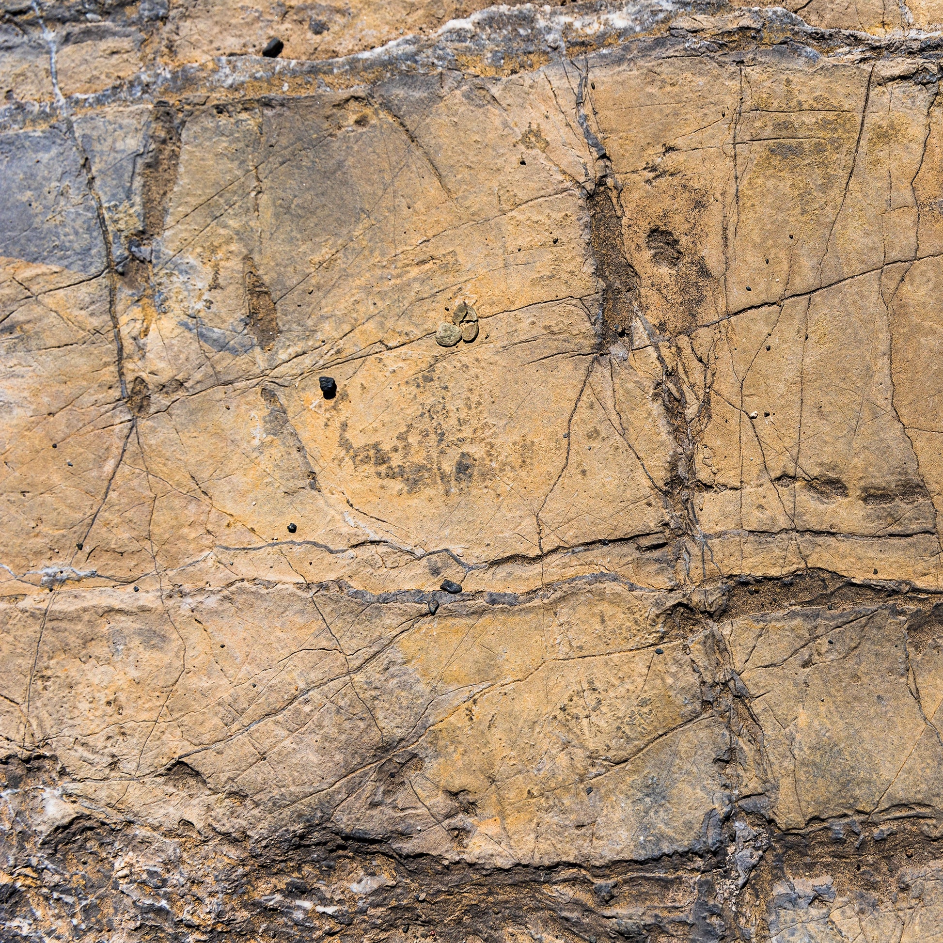 FX‑128 Ochre Strata Marble flexible marble panel showcasing layered ochre and earthy taupe sedimentary strata patterns with realistic fissures and rustic texture accents, by Dunya Home Design.