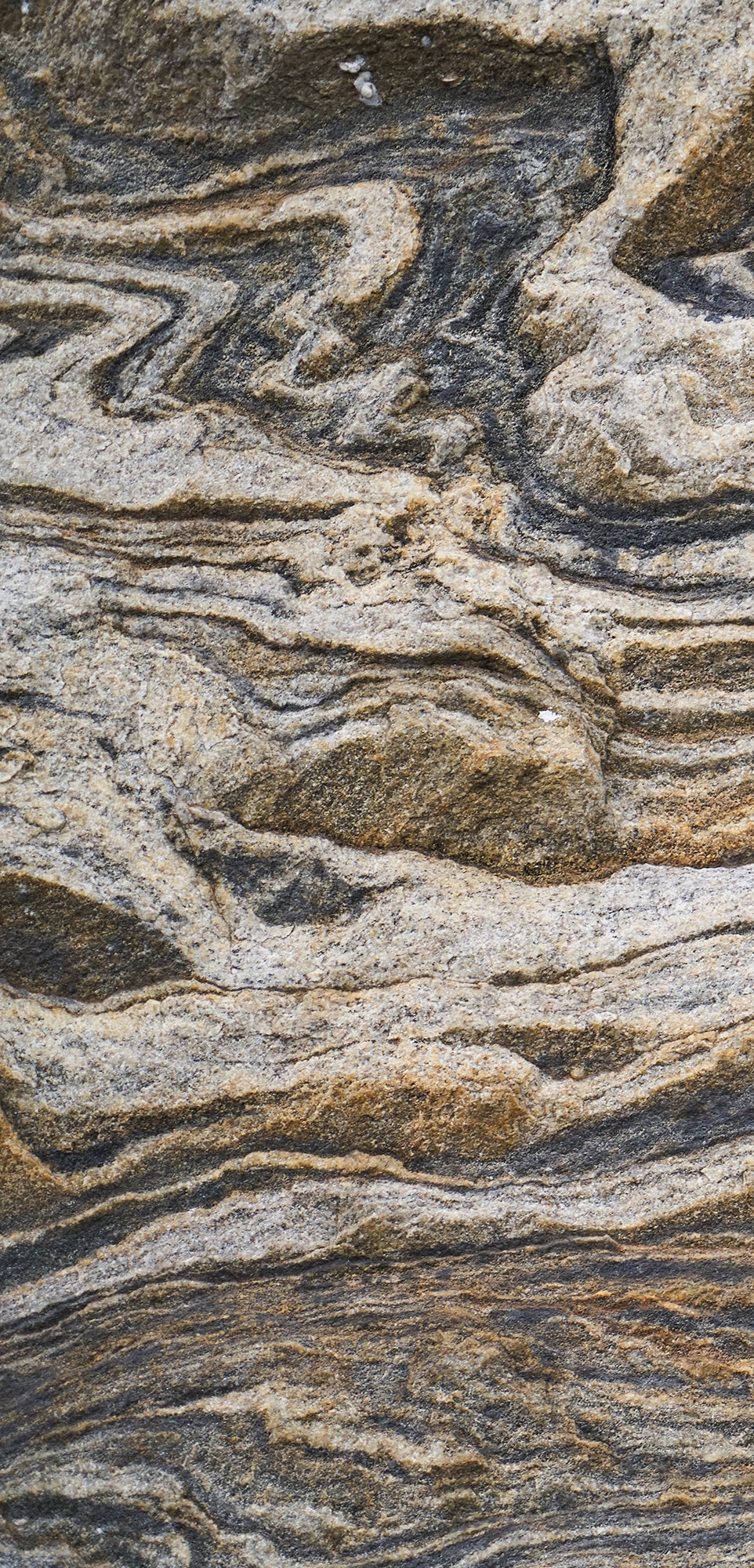 FX‑131 Desert Strata Marble flexible marble panel showcasing swirling layers of sandy beige and charcoal taupe strata with dynamic ribbon patterns, by Dunya Home Design.