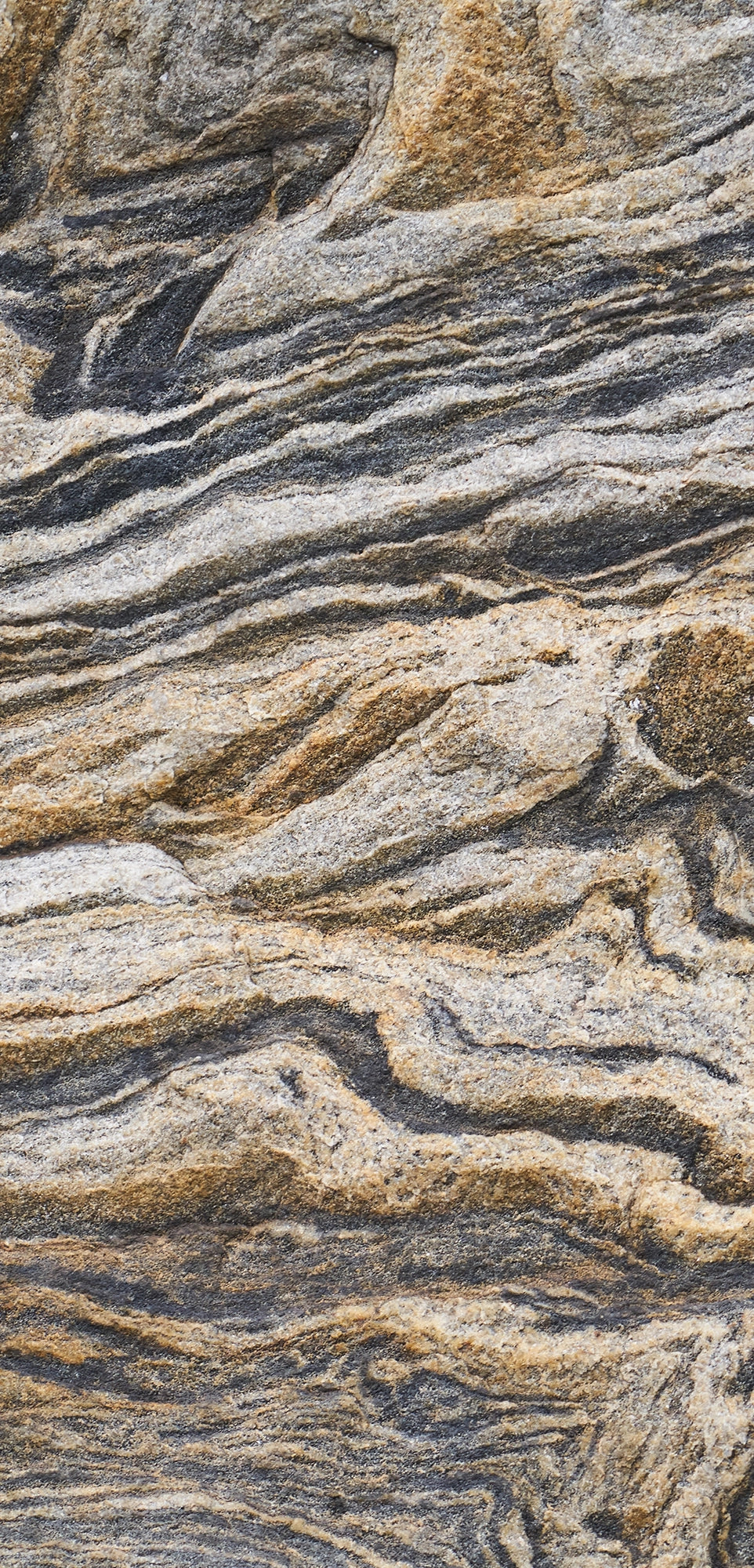 FX‑131 Desert Strata Marble flexible marble panel showcasing swirling layers of sandy beige and charcoal taupe strata with dynamic ribbon patterns, by Dunya Home Design.