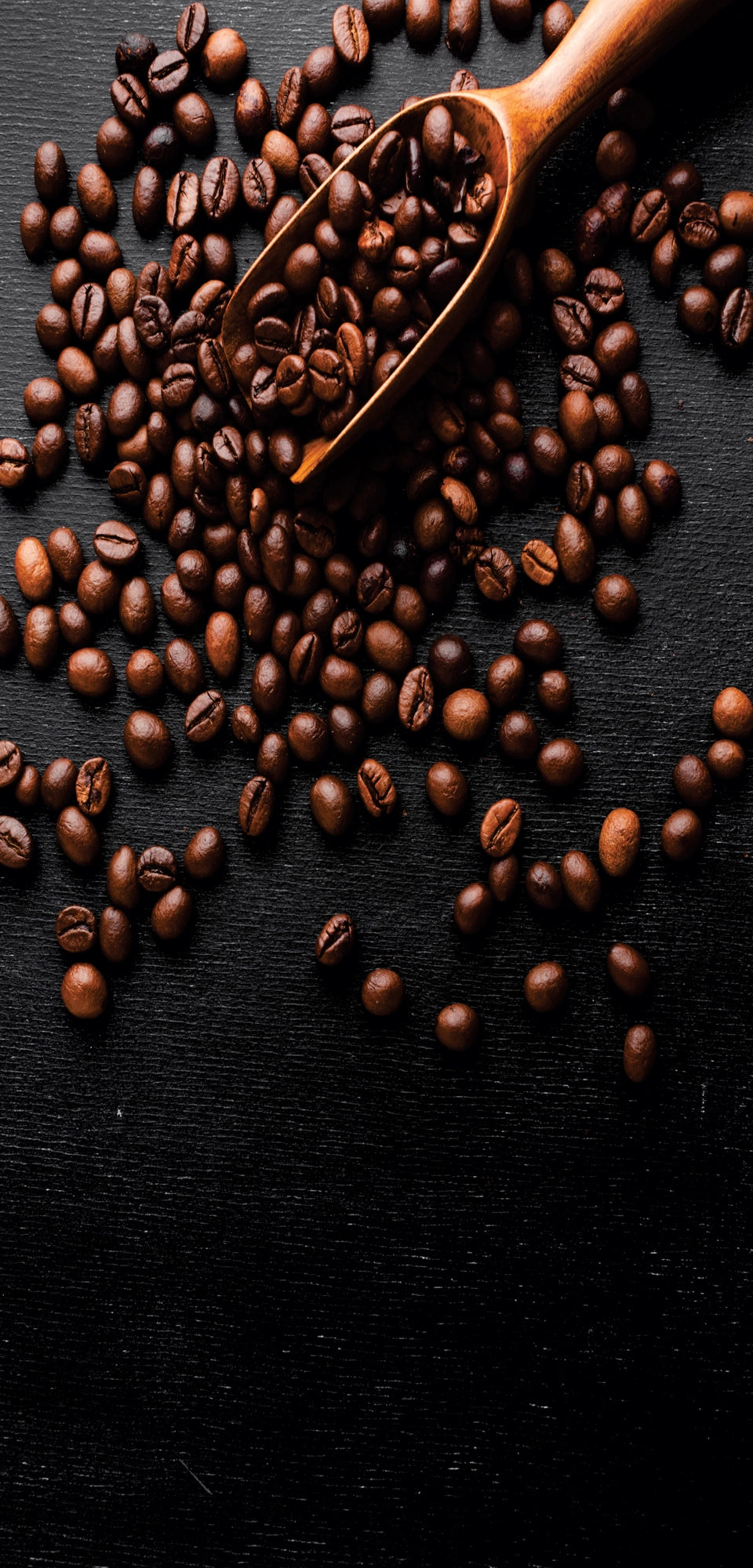 Marble mural of dark textured surface surrounded by coffee beans and espresso-making tools, evoking rich coffee tones