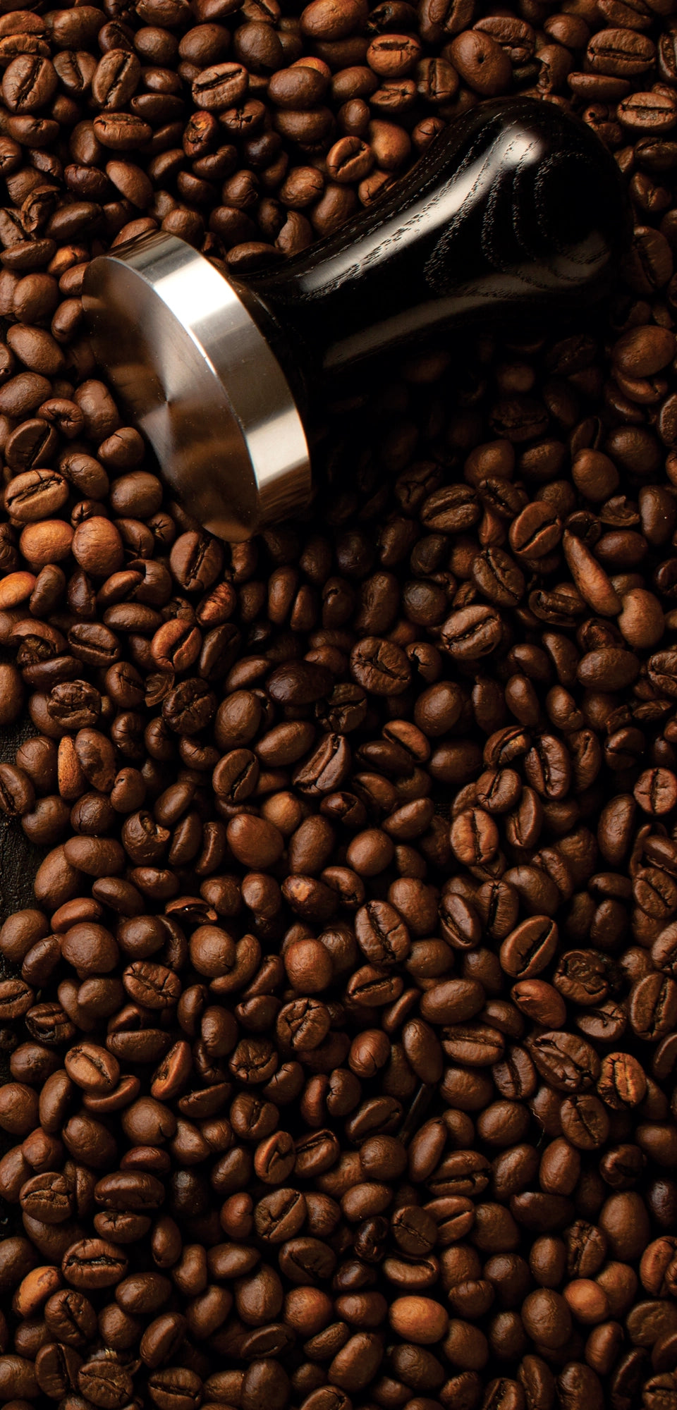Marble mural of dark textured surface surrounded by coffee beans and espresso-making tools, evoking rich coffee tones