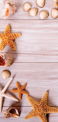 FX2 Flexible Marble panel with beach-themed shells and driftwood grain – Dunya Home Design