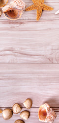 FX2 Flexible Marble panel with beach-themed shells and driftwood grain – Dunya Home Design