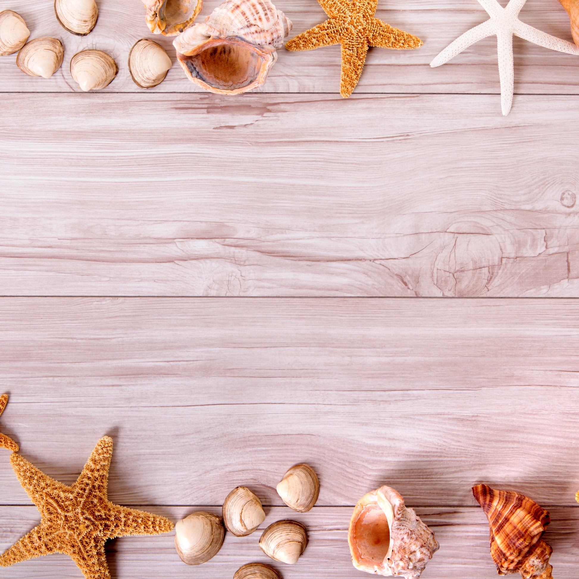 FX2 Flexible Marble panel with beach-themed shells and driftwood grain – Dunya Home Design