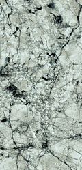  FX32 Borticello flexible marble panel featuring intricate black and grey veining over a light grey stone surface.