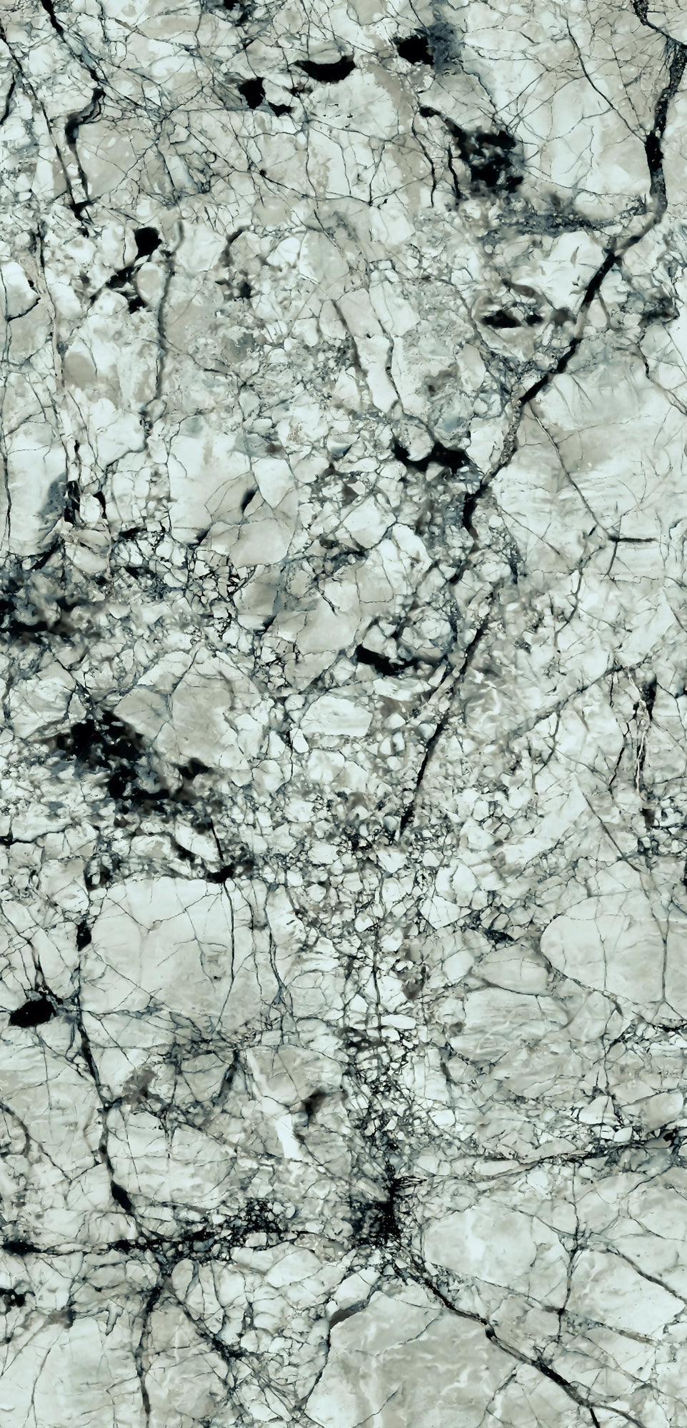  FX32 Borticello flexible marble panel featuring intricate black and grey veining over a light grey stone surface.
