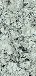  FX32 Borticello flexible marble panel featuring intricate black and grey veining over a light grey stone surface.