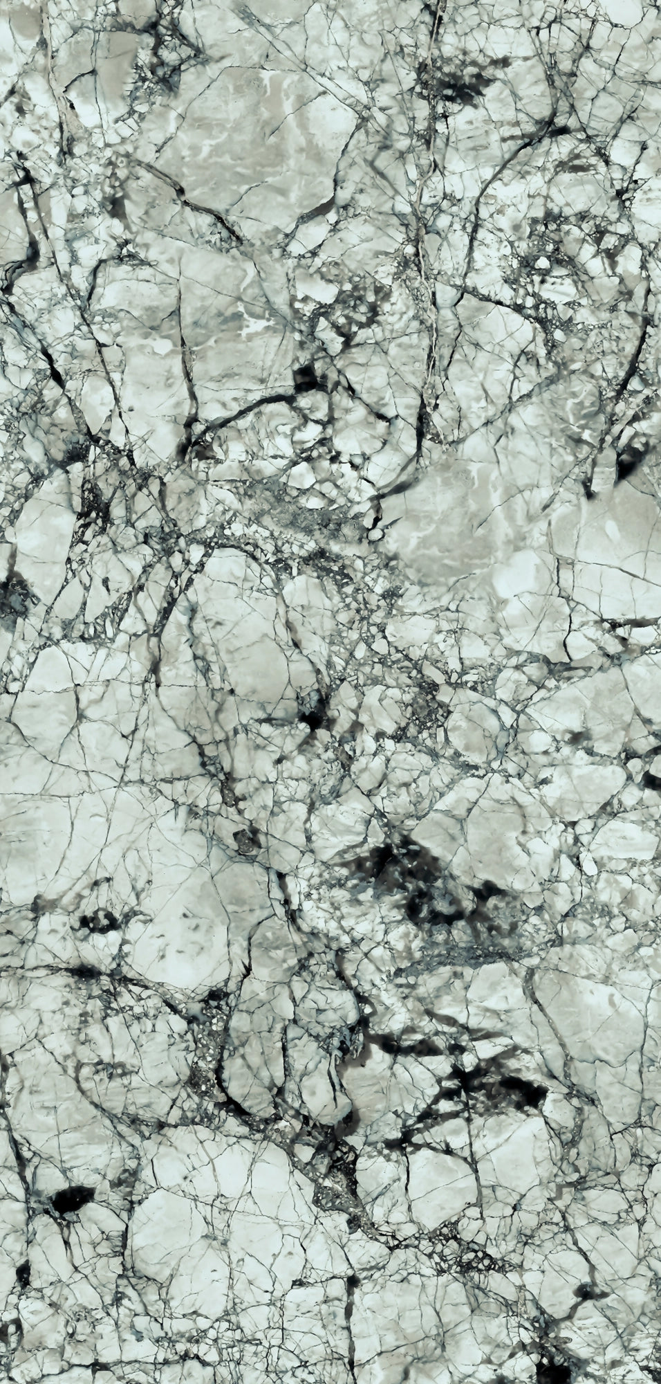  FX32 Borticello flexible marble panel featuring intricate black and grey veining over a light grey stone surface.
