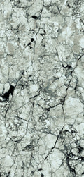  FX32 Borticello flexible marble panel featuring intricate black and grey veining over a light grey stone surface.