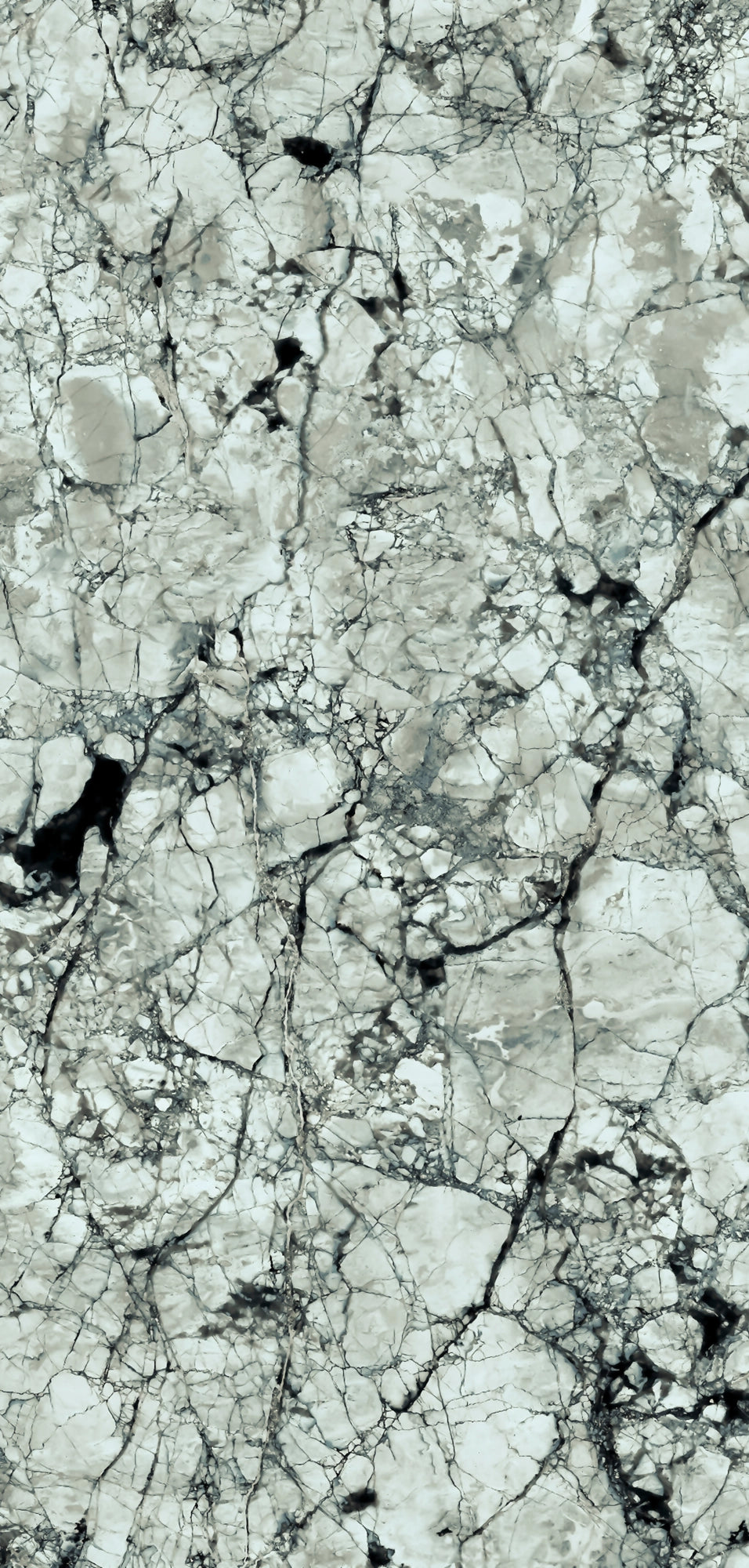  FX32 Borticello flexible marble panel featuring intricate black and grey veining over a light grey stone surface.