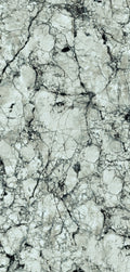  FX32 Borticello flexible marble panel featuring intricate black and grey veining over a light grey stone surface.