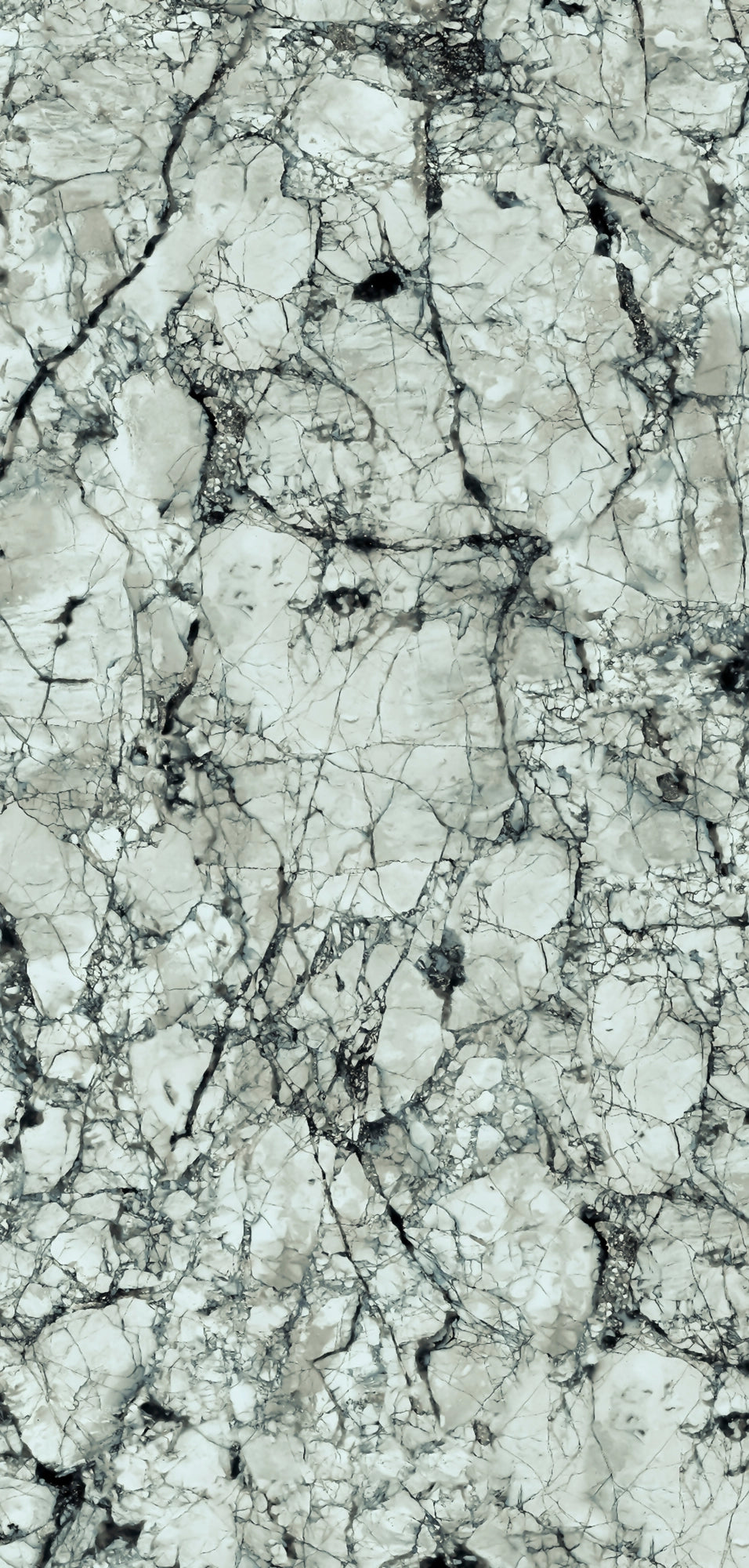  FX32 Borticello flexible marble panel featuring intricate black and grey veining over a light grey stone surface.