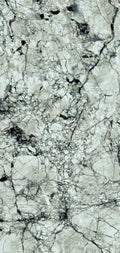  FX32 Borticello flexible marble panel featuring intricate black and grey veining over a light grey stone surface.