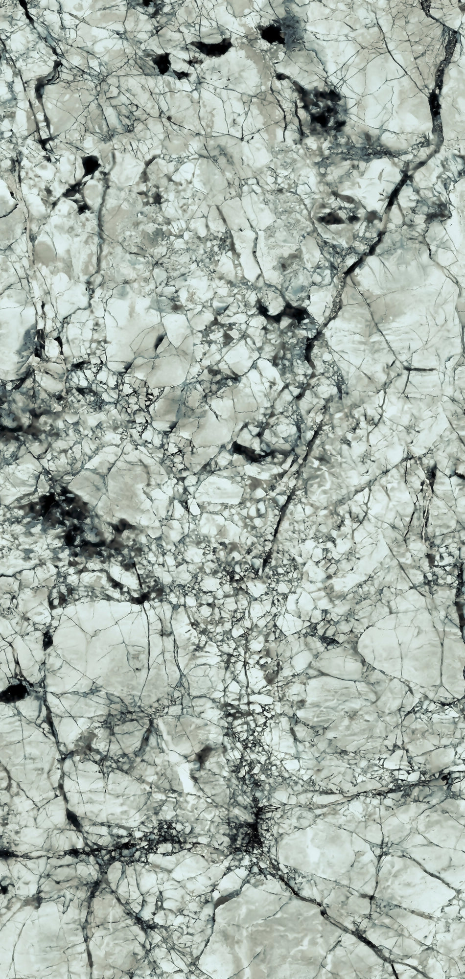  FX32 Borticello flexible marble panel featuring intricate black and grey veining over a light grey stone surface.