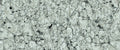  FX32 Borticello flexible marble panel featuring intricate black and grey veining over a light grey stone surface.
