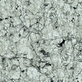  FX32 Borticello flexible marble panel featuring intricate black and grey veining over a light grey stone surface.