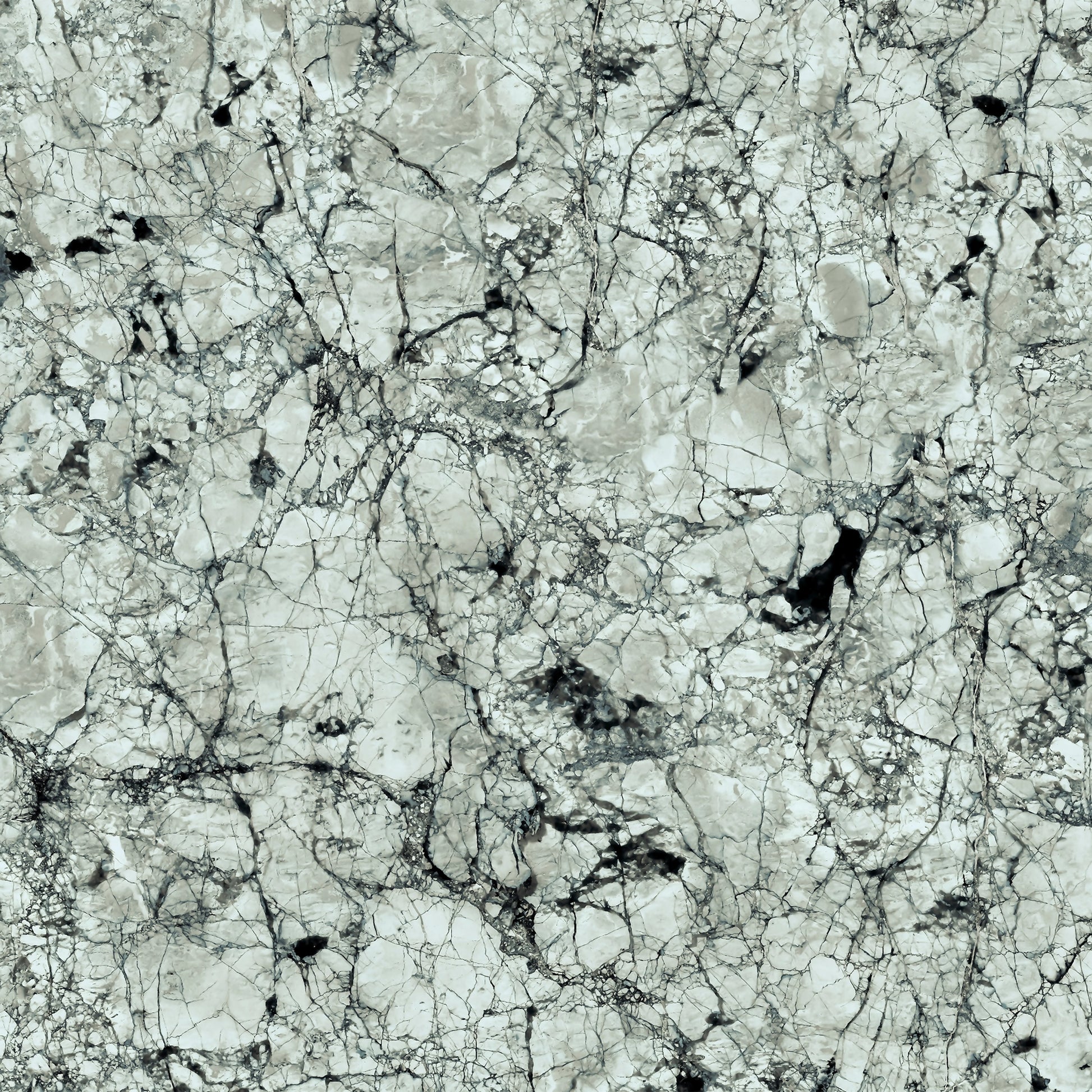  FX32 Borticello flexible marble panel featuring intricate black and grey veining over a light grey stone surface.