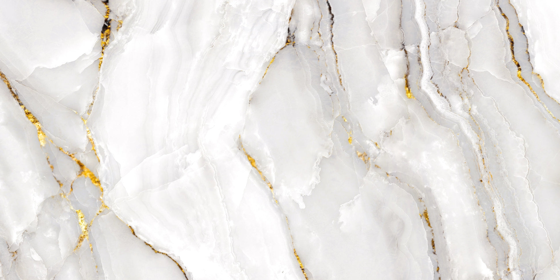 Radiant white marble with rich gold veining — FX38 Calacatta Gold by Dunya Home Design.