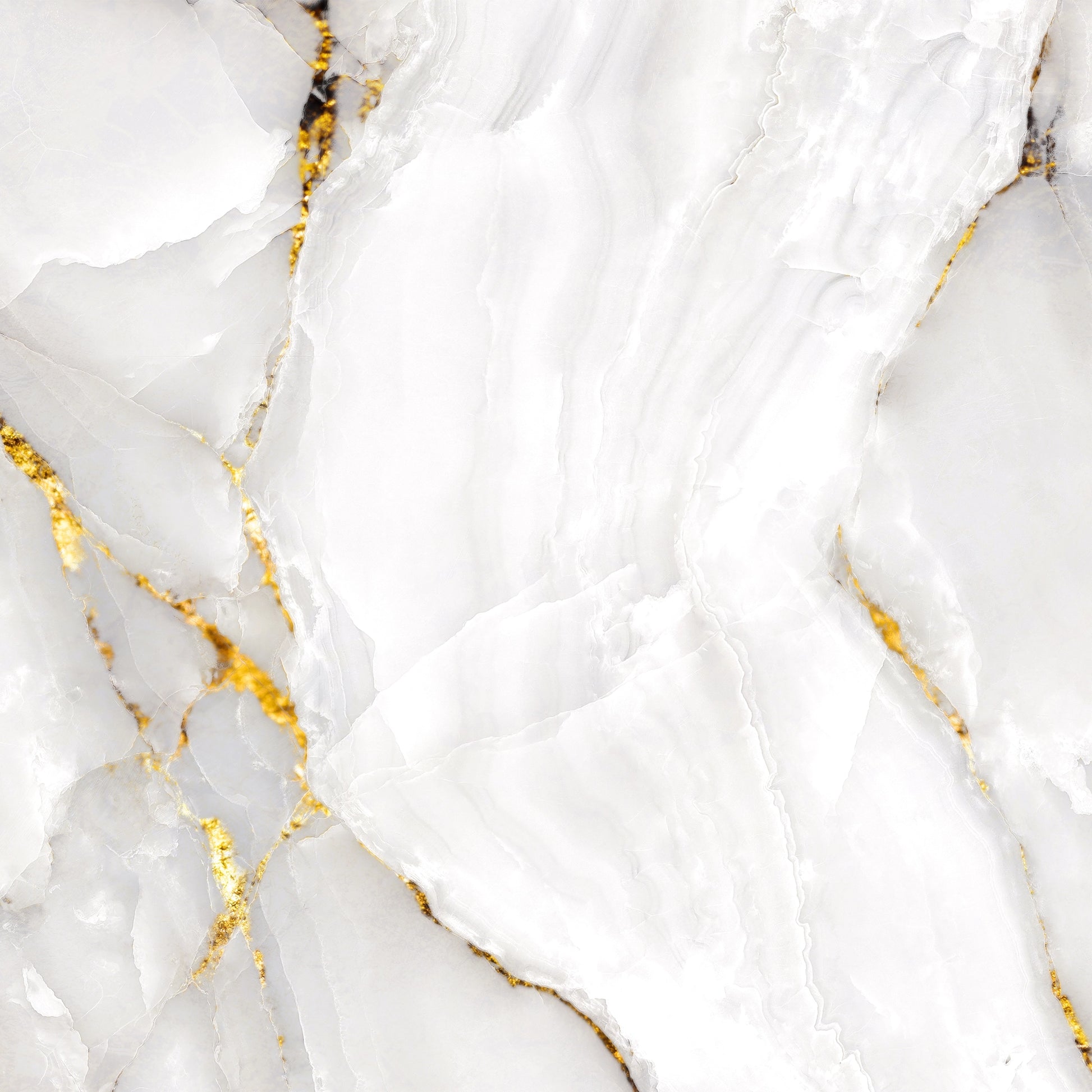 Radiant white marble with rich gold veining — FX38 Calacatta Gold by Dunya Home Design.